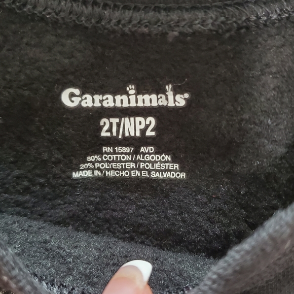 Kids Boys 2T Sweatshirt, Pants and Shorts - Picture 5 of 7